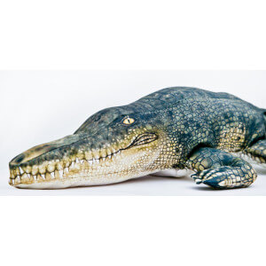 Obrázok 2 k Vankúš GABY Krokodíl morský, 120 cm