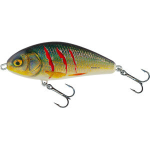 Vobler SALMO Fatso Sinking 10 cm A - Wounded Real Roach