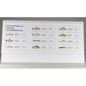 Obrázok 4 k Rybársky kalendár 2018